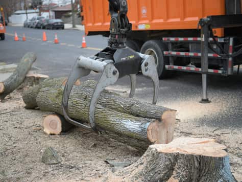 Debris removal service